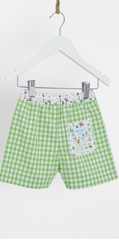 Boys Swim Shorts and matching T-shirt