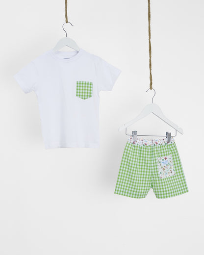 Boys Swim Shorts and matching T-shirt